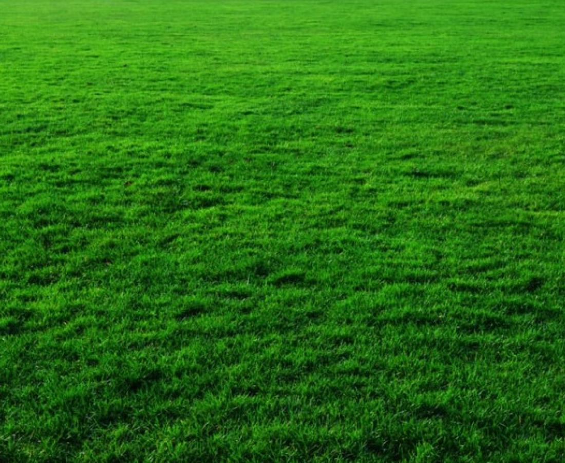Survey Background